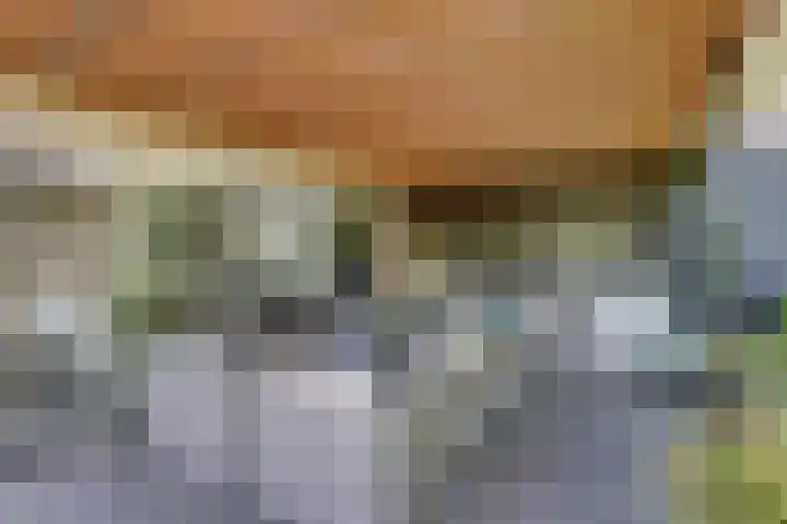 De Griffioen 10 Almelo thumbnail 24