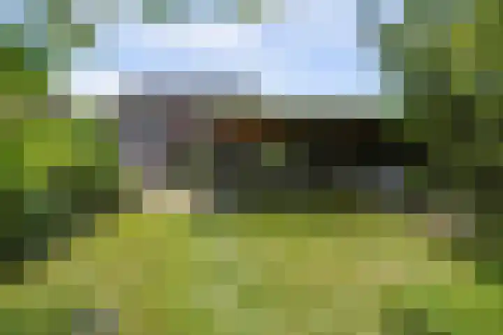De Griffioen 10 Almelo thumbnail 25