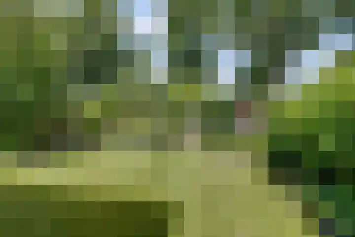 De Griffioen 10 Almelo thumbnail 26