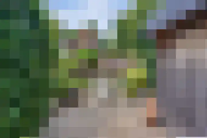 De Griffioen 10 Almelo thumbnail 27