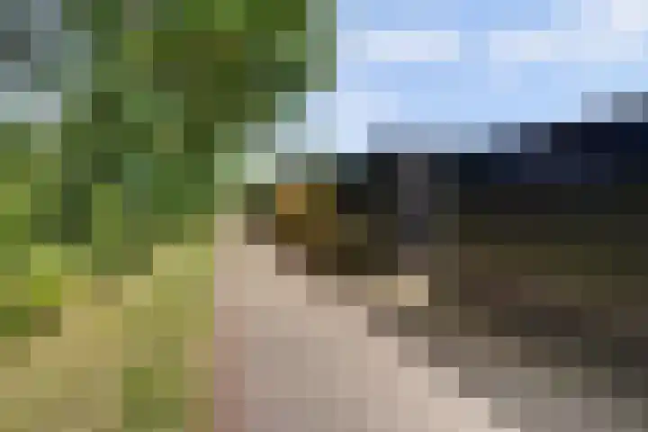 De Griffioen 10 Almelo thumbnail 28