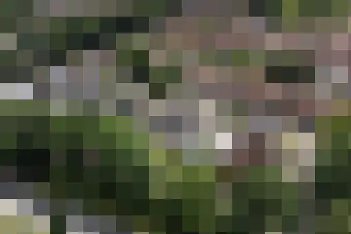 De Griffioen 10 Almelo thumbnail 30