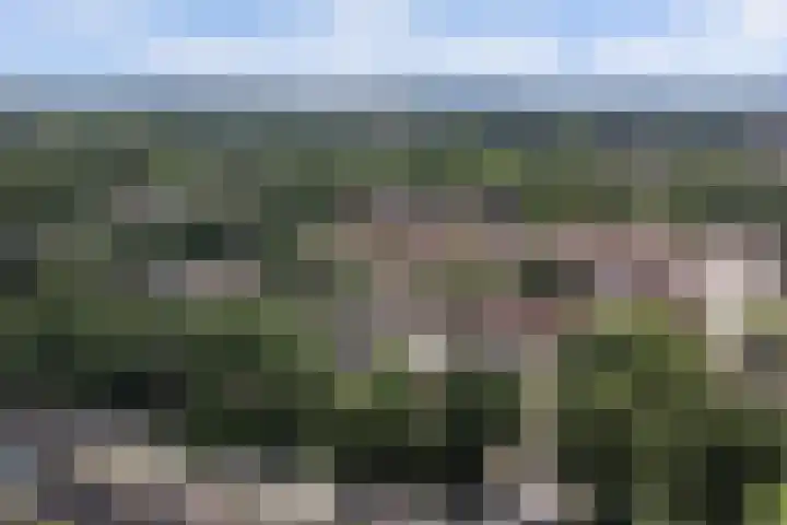 De Griffioen 10 Almelo thumbnail 31