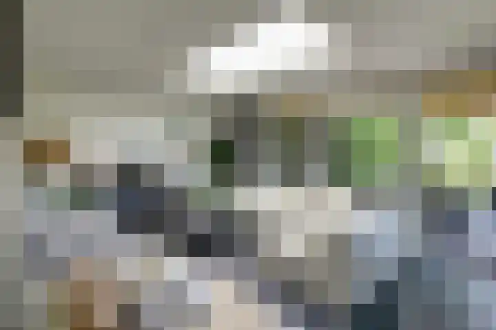 De Griffioen 10 Almelo thumbnail 4