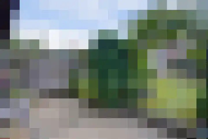 De Griffioen 10 Almelo thumbnail 5