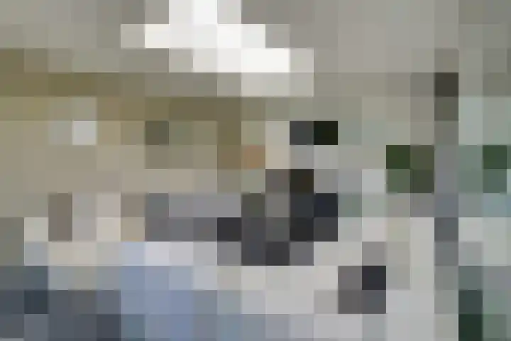 De Griffioen 10 Almelo thumbnail 6