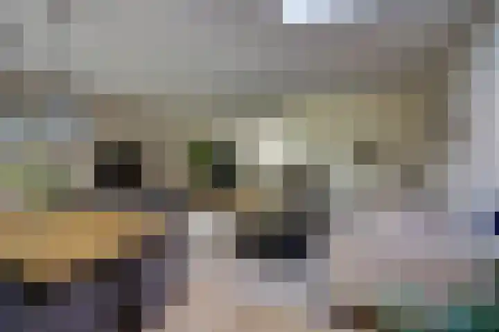 De Griffioen 10 Almelo thumbnail 9