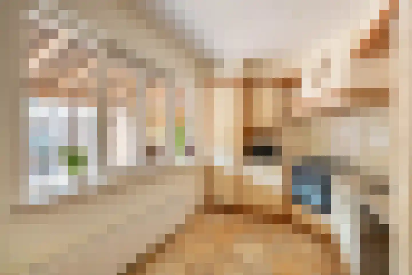 De Griffioen 60 Almelo thumbnail 8