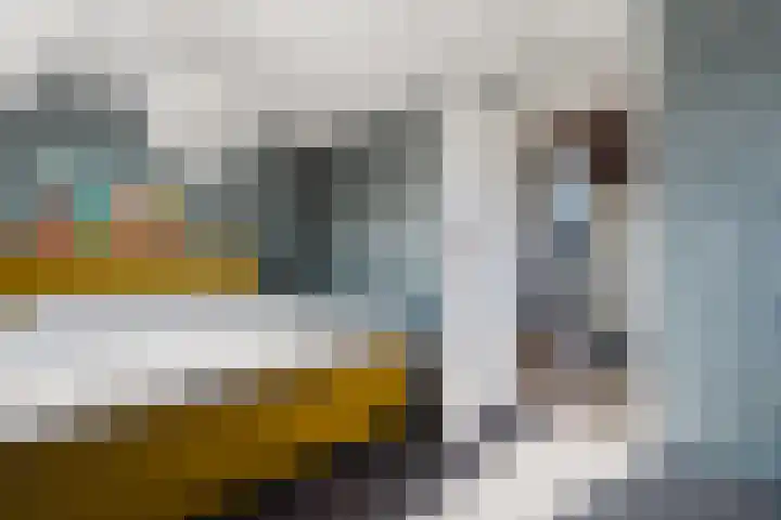de Grift 5 Bontebok thumbnail 21