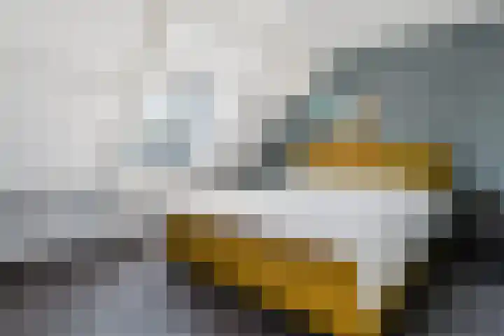 de Grift 5 Bontebok thumbnail 22