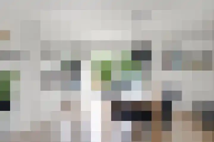 De Grintfisker 38 Oudemirdum thumbnail 12