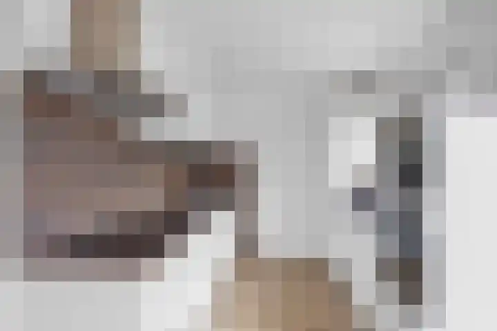 De Grintfisker 38 Oudemirdum thumbnail 15