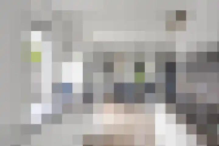 De Grintfisker 38 Oudemirdum thumbnail 16
