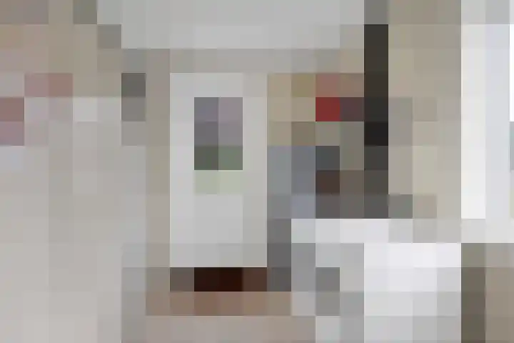 De Grintfisker 38 Oudemirdum thumbnail 17