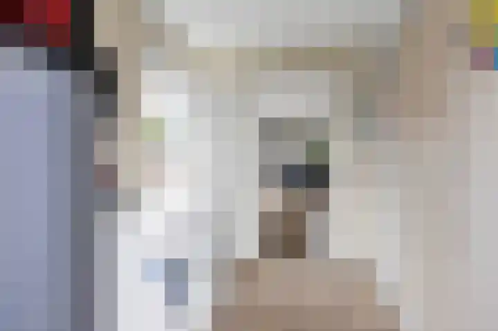 De Grintfisker 38 Oudemirdum thumbnail 18