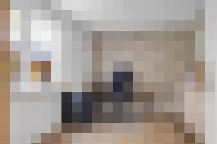 De Grintfisker 38 Oudemirdum thumbnail 19