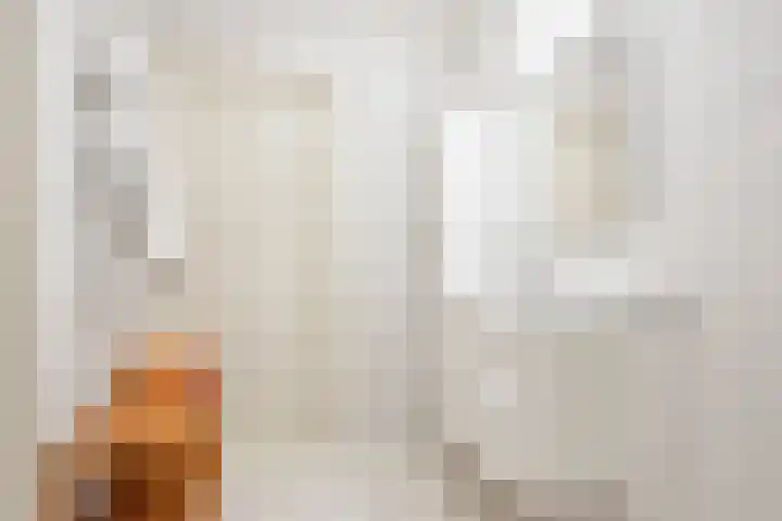 De Grintfisker 38 Oudemirdum thumbnail 21