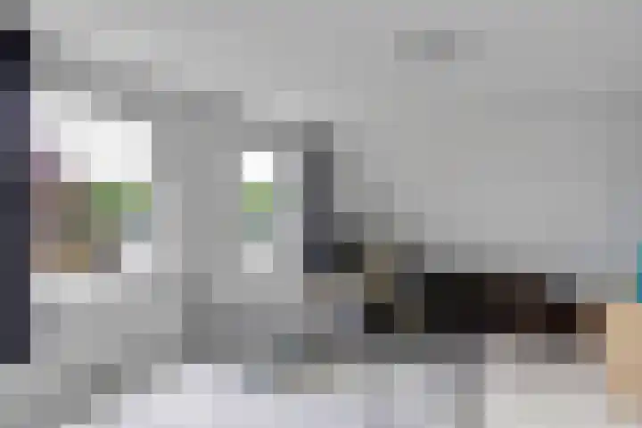 De Grintfisker 38 Oudemirdum thumbnail 25