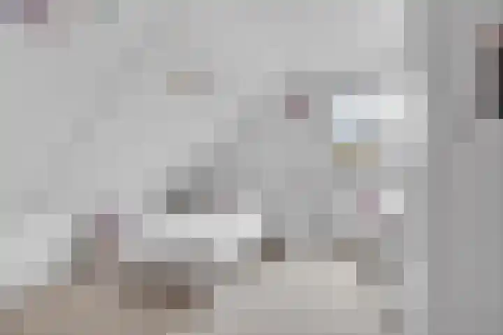De Grintfisker 38 Oudemirdum thumbnail 26