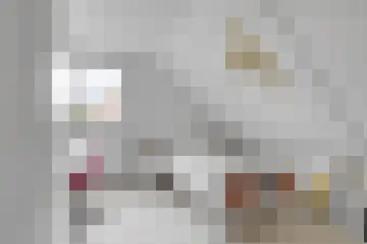 De Grintfisker 38 Oudemirdum thumbnail 28