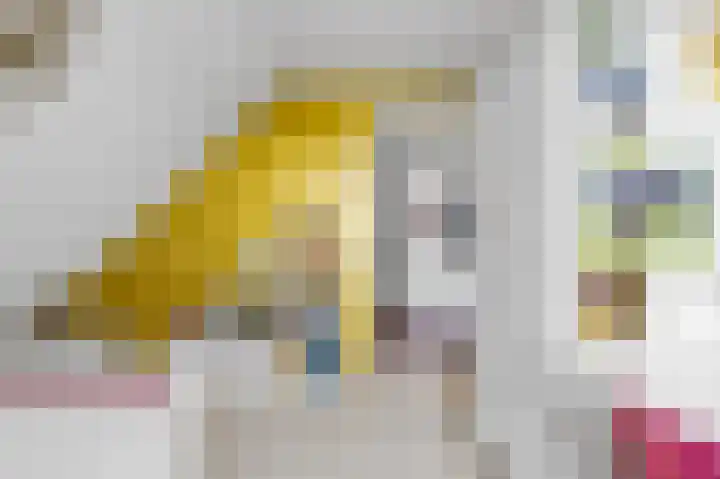 De Grintfisker 38 Oudemirdum thumbnail 29