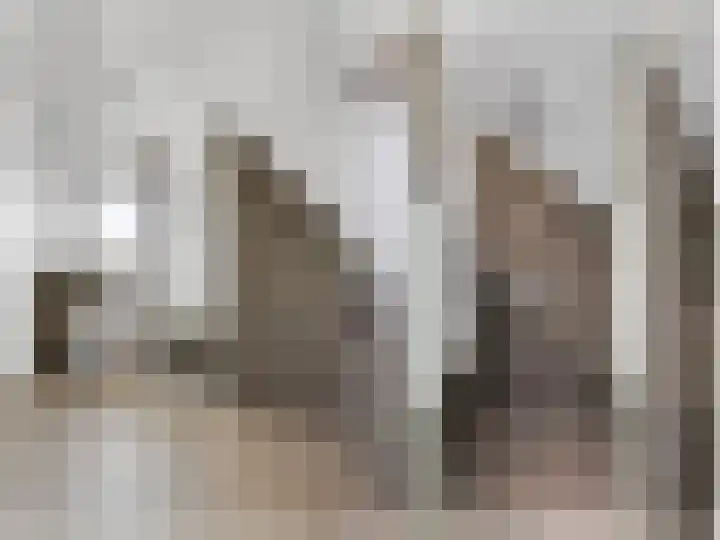 De Grintfisker 38 Oudemirdum thumbnail 31