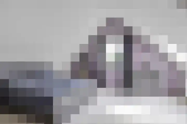 De Grintfisker 38 Oudemirdum thumbnail 32