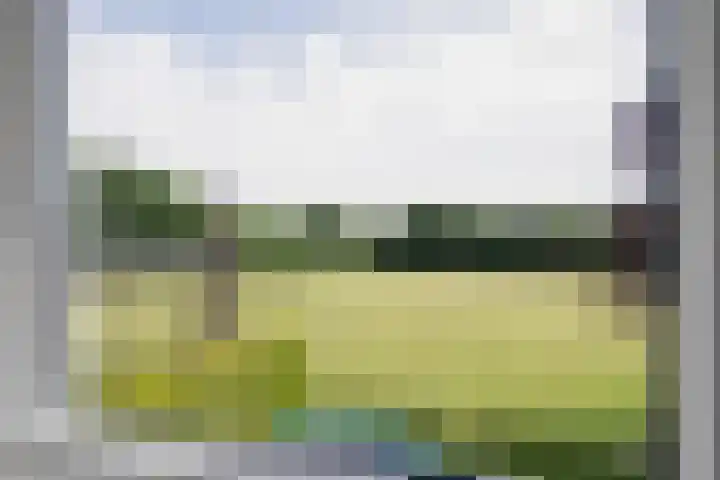De Grintfisker 38 Oudemirdum thumbnail 35