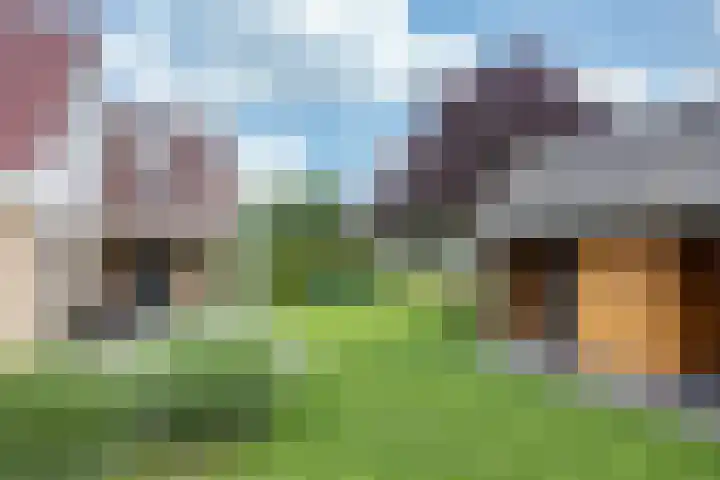 De Grintfisker 38 Oudemirdum thumbnail 37