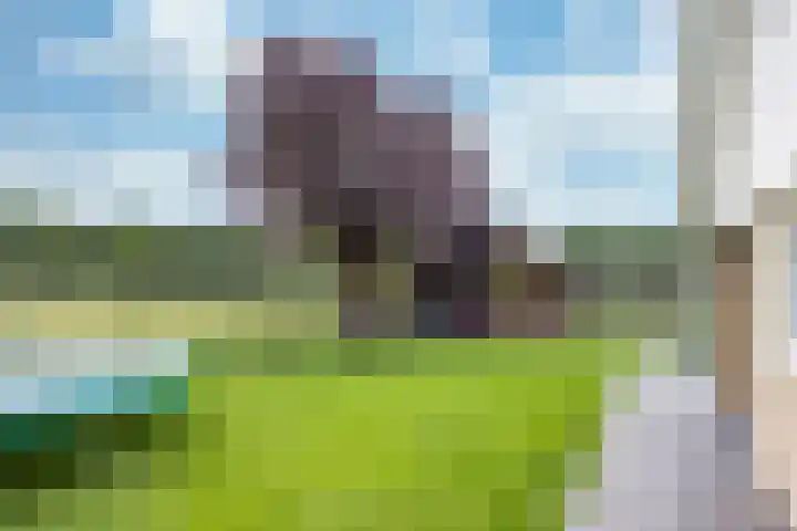 De Grintfisker 38 Oudemirdum thumbnail 38
