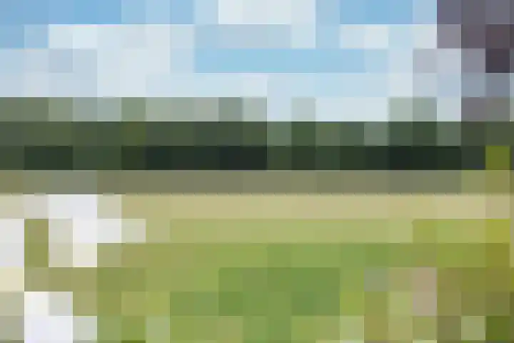 De Grintfisker 38 Oudemirdum thumbnail 39