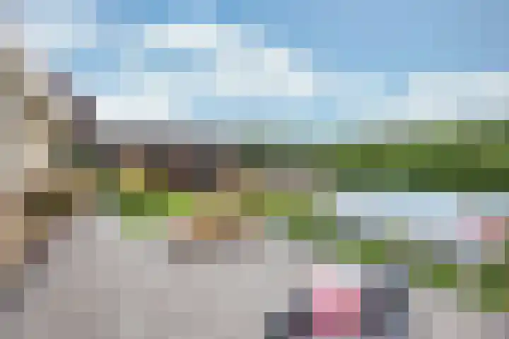 De Grintfisker 38 Oudemirdum thumbnail 44