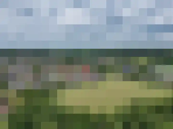 De Grintfisker 38 Oudemirdum thumbnail 47