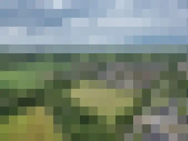 De Grintfisker 38 Oudemirdum thumbnail 48
