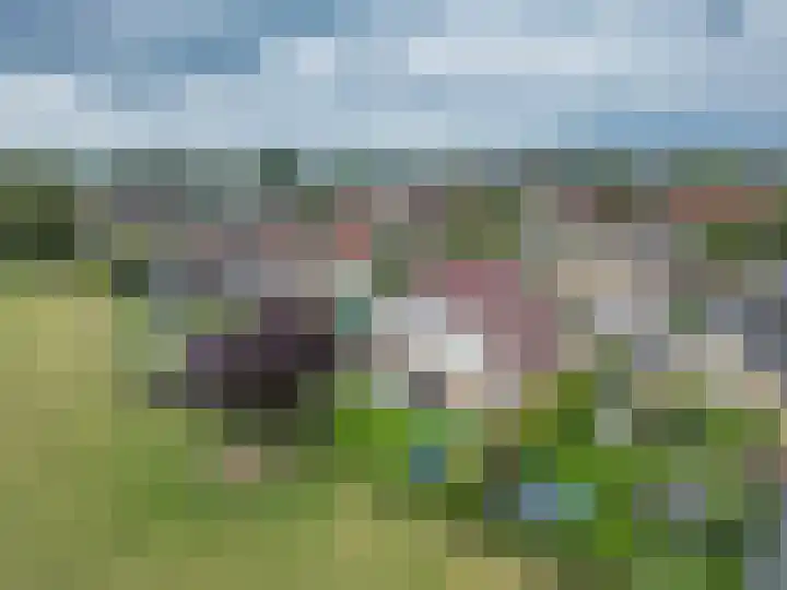 De Grintfisker 38 Oudemirdum thumbnail 49