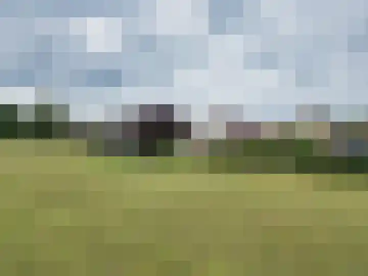 De Grintfisker 38 Oudemirdum thumbnail 50