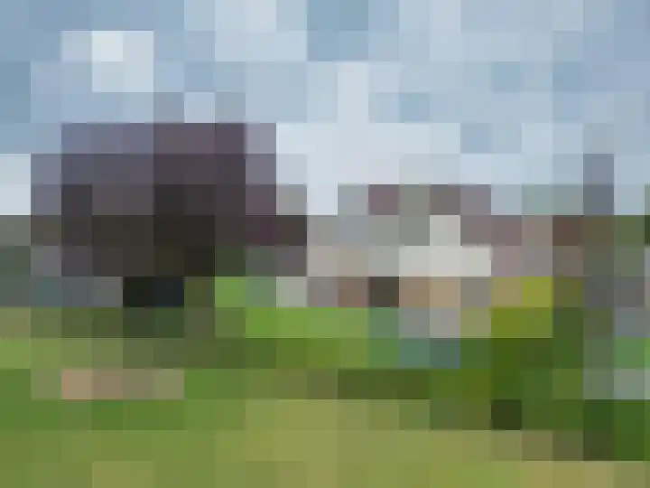 De Grintfisker 38 Oudemirdum thumbnail 51