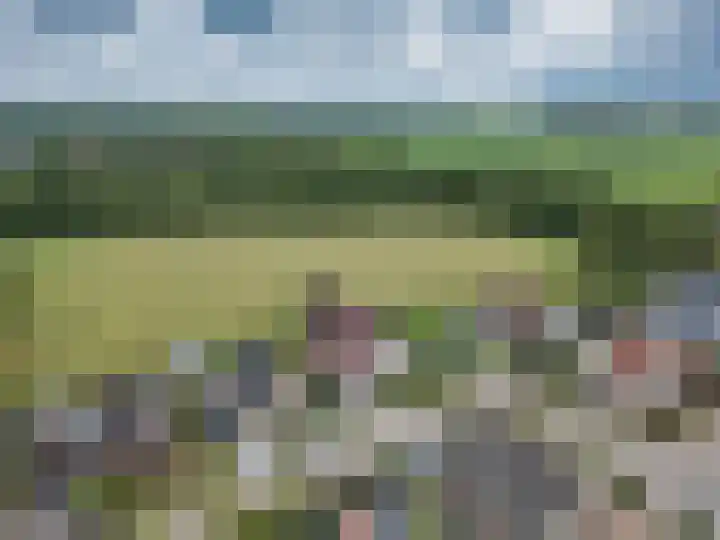 De Grintfisker 38 Oudemirdum thumbnail 53