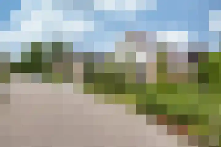 De Grintfisker 38 Oudemirdum thumbnail 56