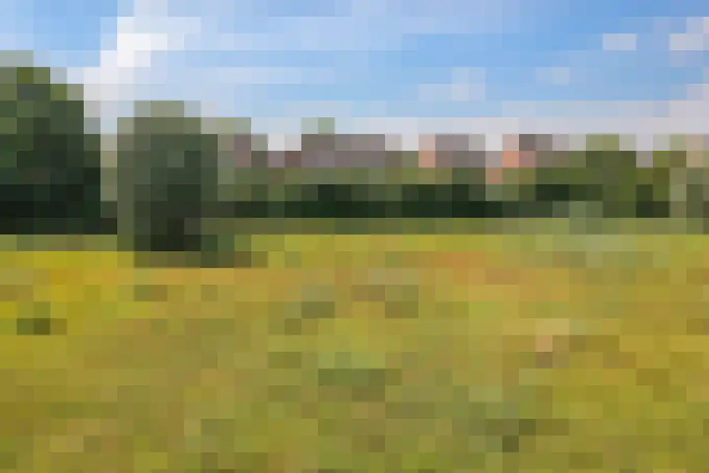 De Grip 16 Zetten thumbnail 25