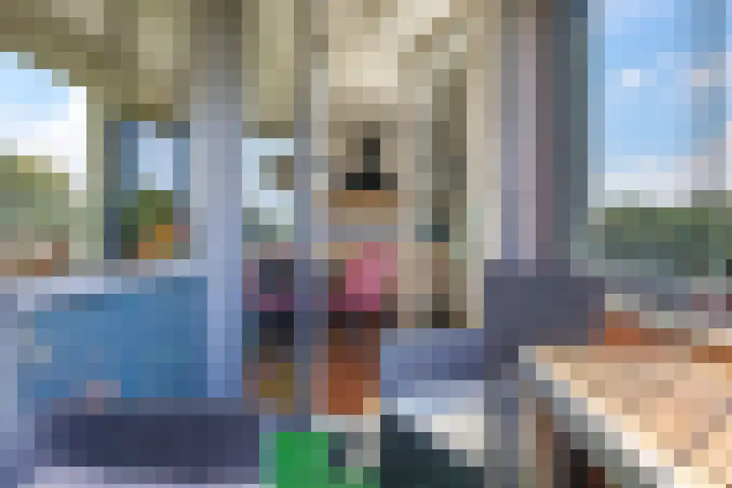 De Grip 16 Zetten thumbnail 26