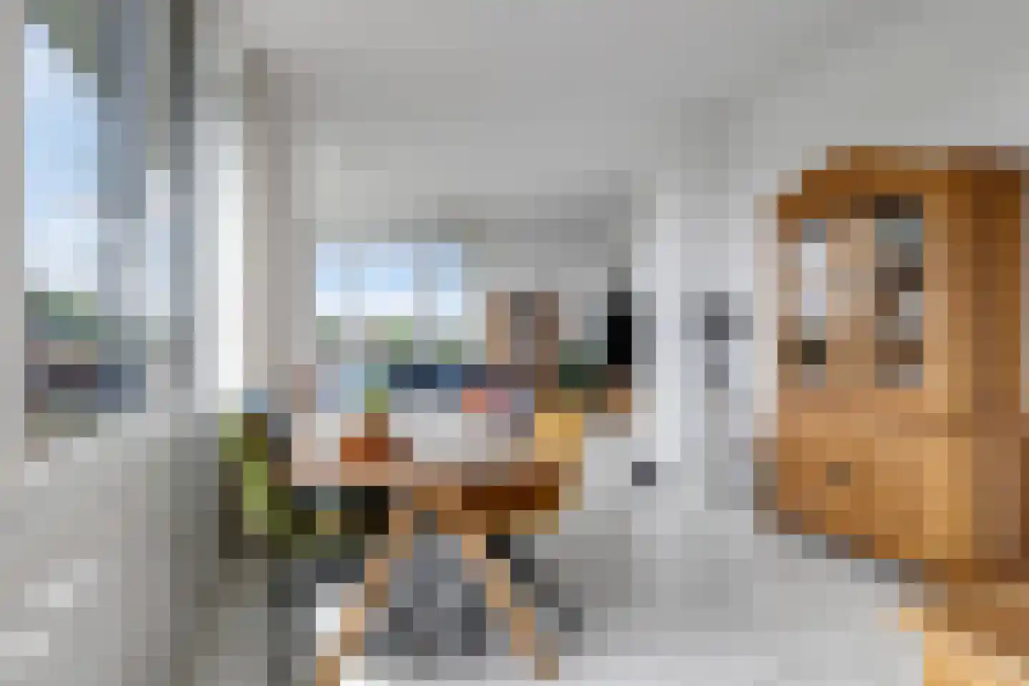 De Grip 24 Zetten thumbnail 24