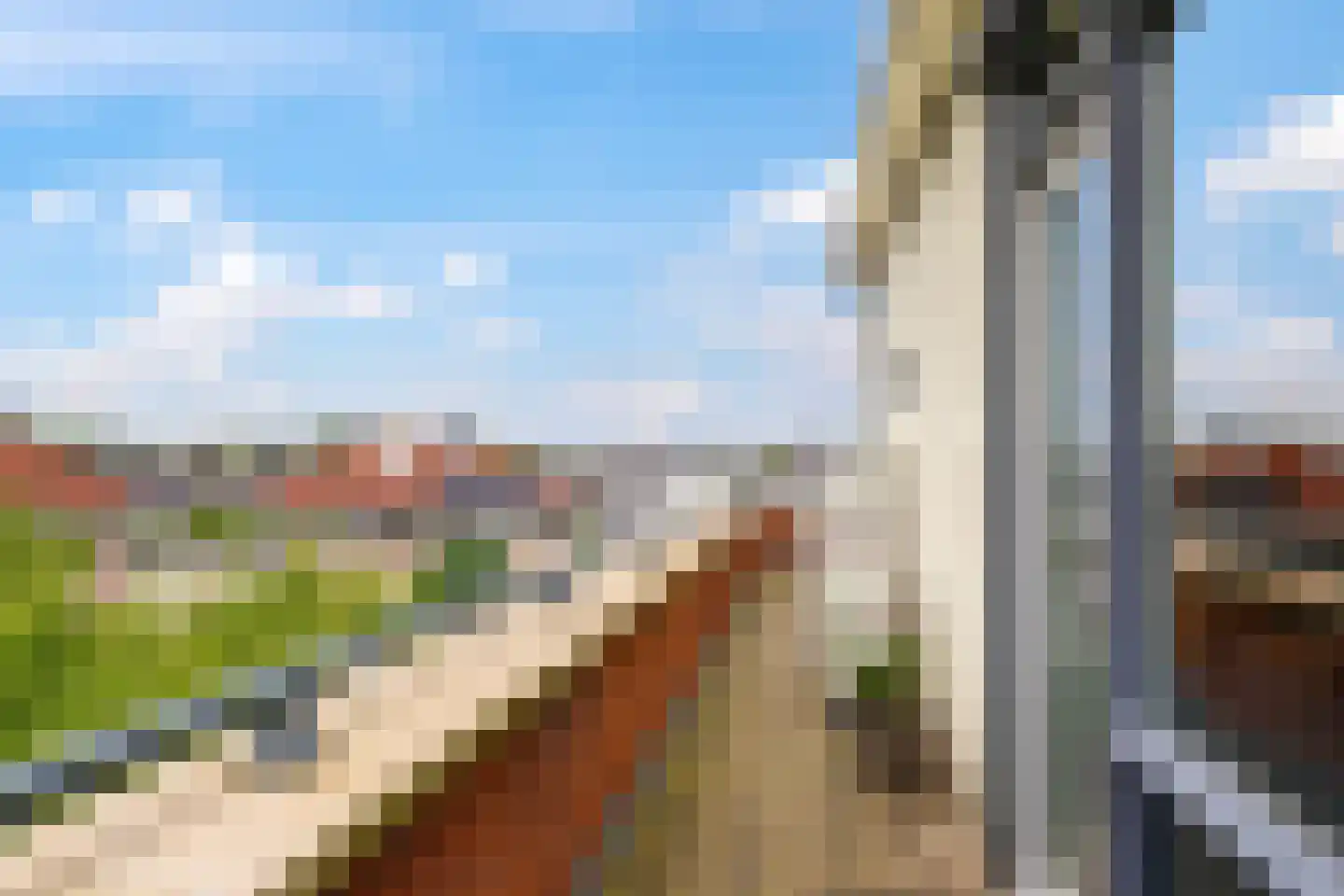 De Grip 24 Zetten thumbnail 44