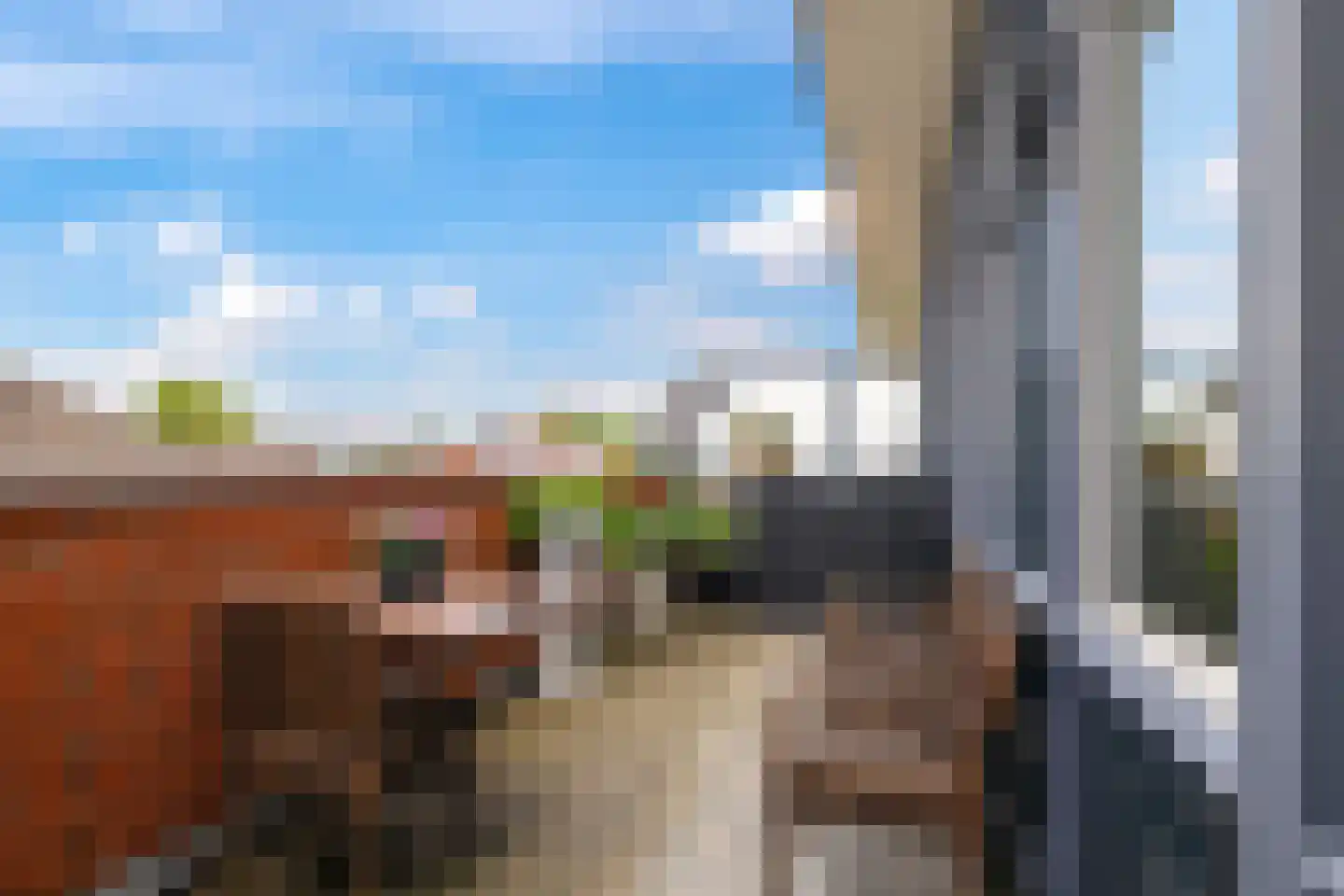De Grip 24 Zetten thumbnail 46