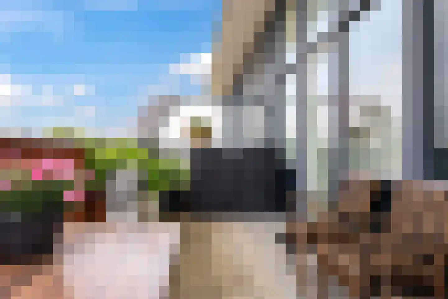 De Grip 24 Zetten thumbnail 47