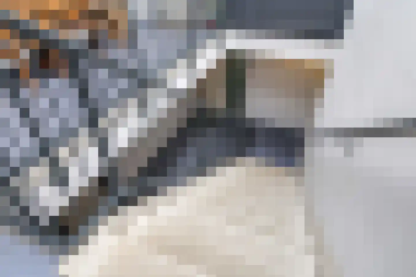 De Grip 24 Zetten thumbnail 51