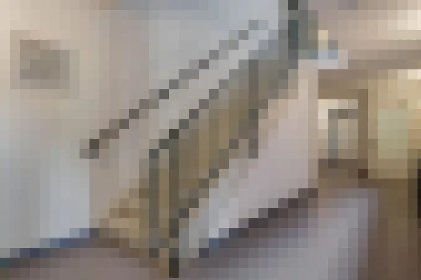 De Grip 24 Zetten thumbnail 52