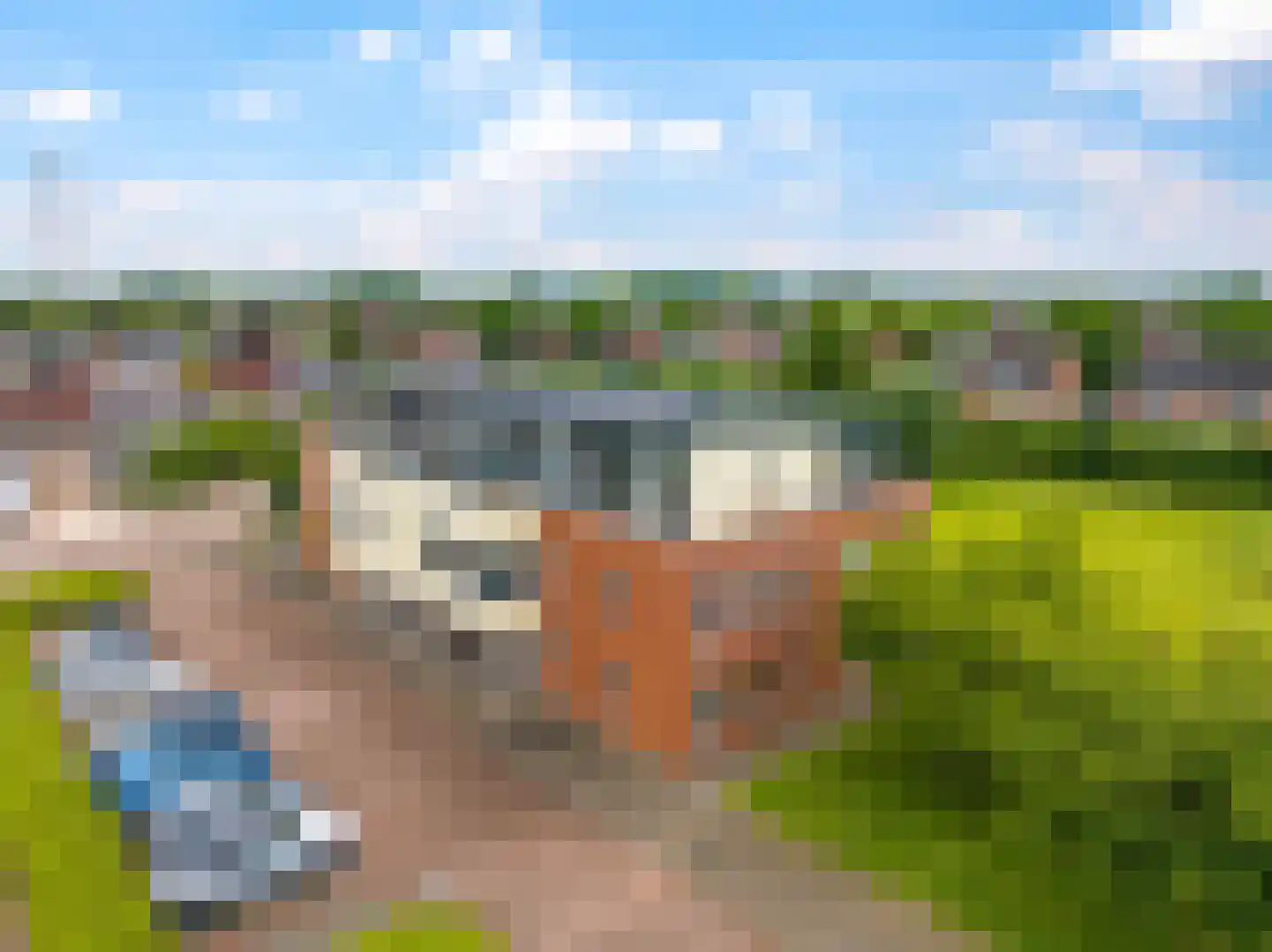 De Grip 24 Zetten thumbnail 62