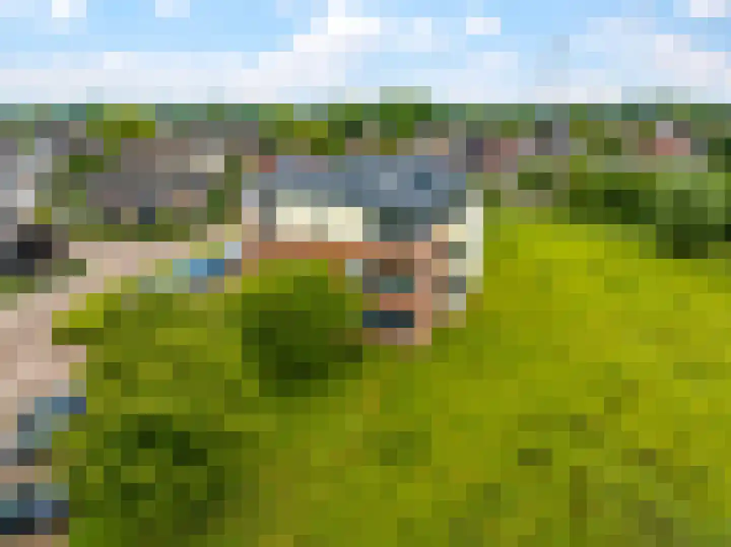 De Grip 24 Zetten thumbnail 64
