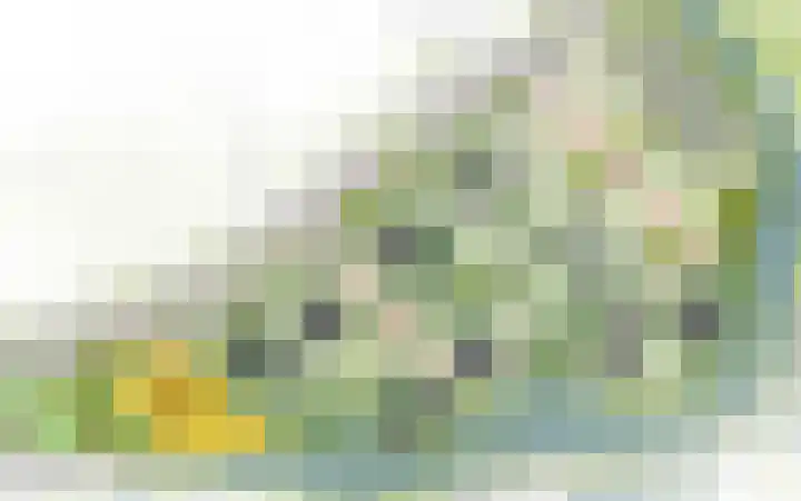 De Groendijck 1 Driebruggen thumbnail 5
